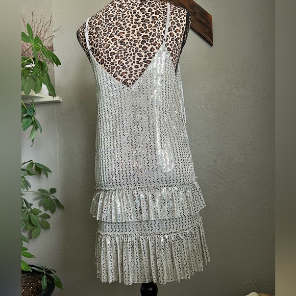 Shimmy Shimmy Slip Dress (Silver) - Small - Picture 13 of 13